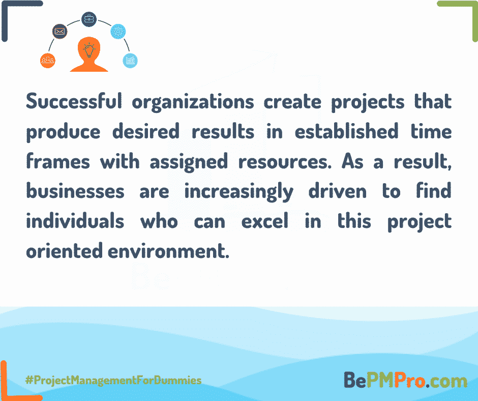 successful organizations are those which create successful projects