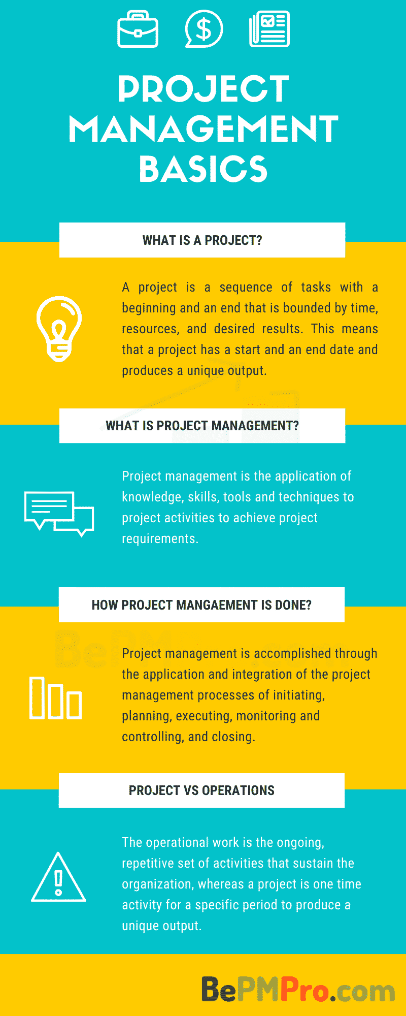 Project Management Basics Infographics