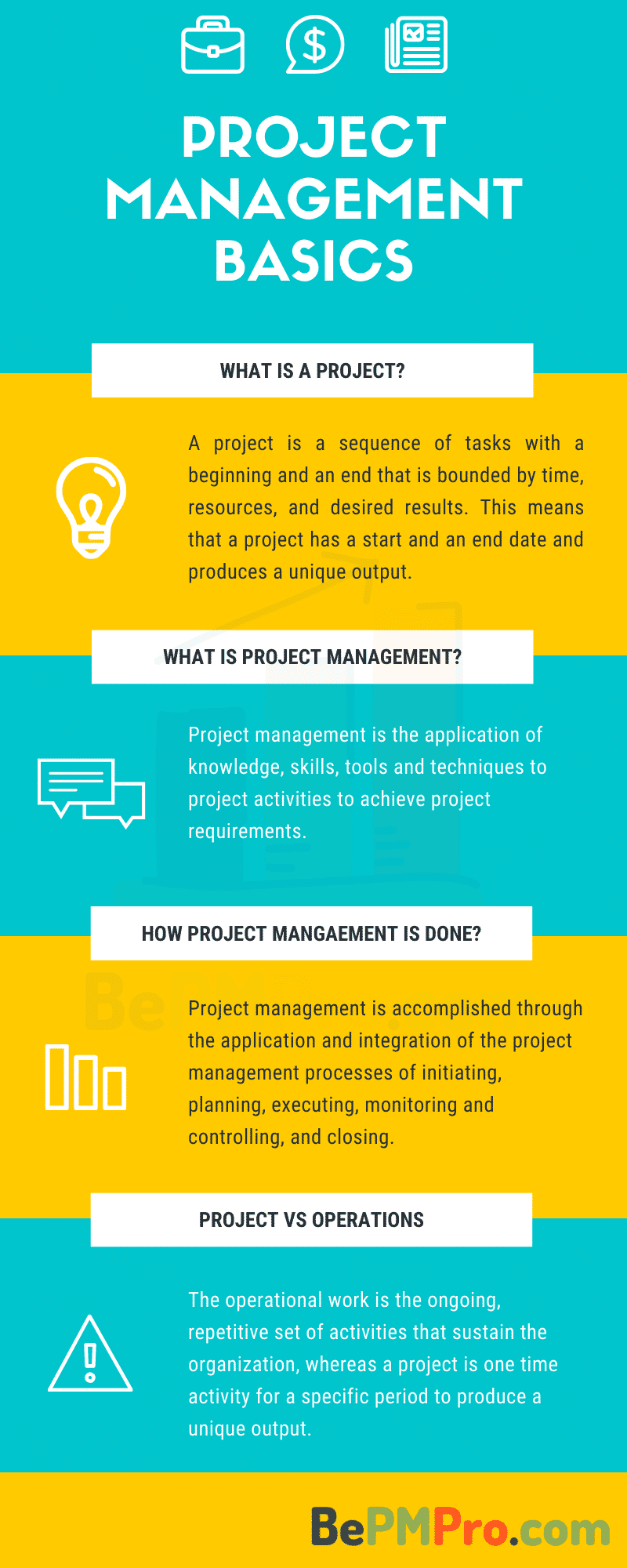 project management basics pdf