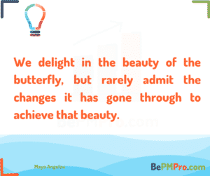 We delight in the beauty of the butterfly, but rarely admit the changes it has gone through to achieve that beauty. Maya Angelou – I4OpG3SOqtZi5gl7BtWm